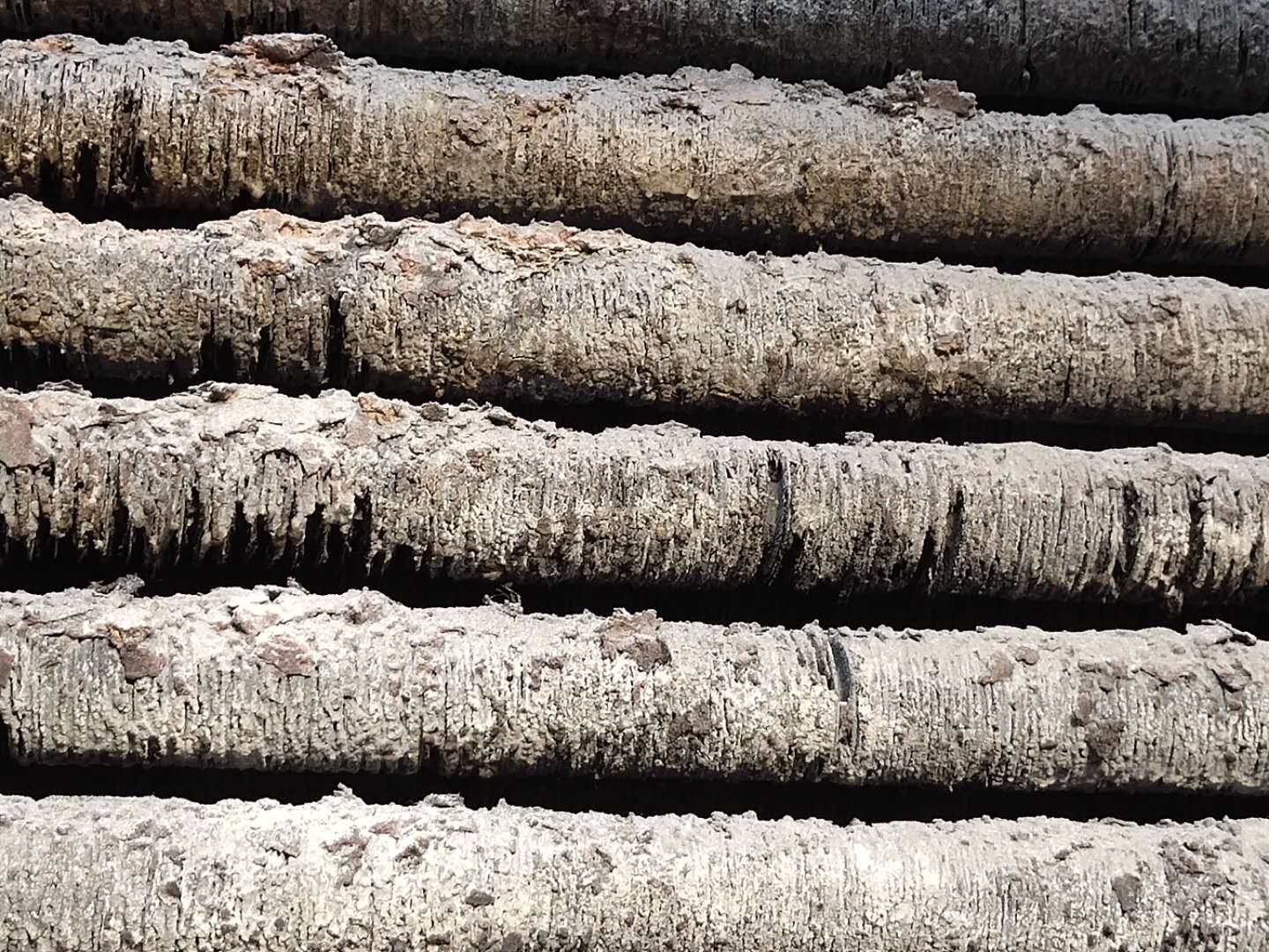 1599f68476c319056962931da6870d1